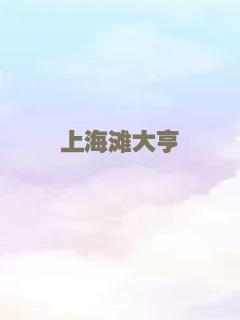 城市猎人（普通话）