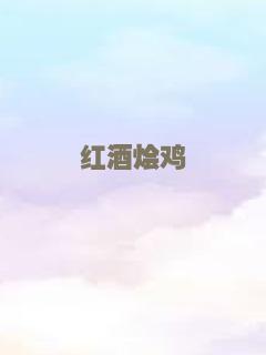 红酒烩鸡