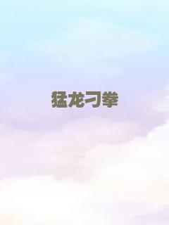理想主义者