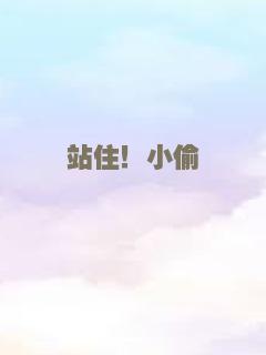 站住！小偷