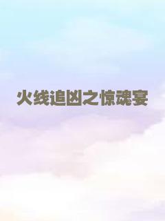 火线追凶之惊魂宴