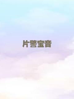 国际杀手的真实回忆录