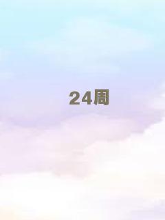 梦想的宫殿