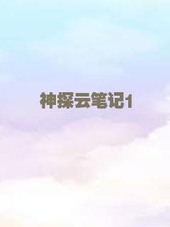 神探云笔记1