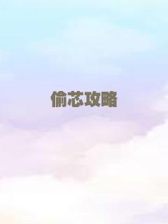 偷芯攻略