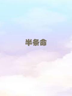 爱丽丝和市长