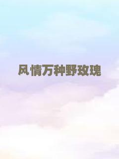 美国队长
